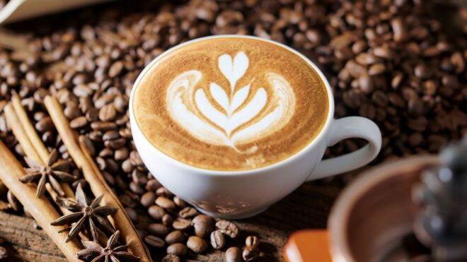 Barista Workshop - Coffee Course for Beginners - Who Should Attend the Coffee Course