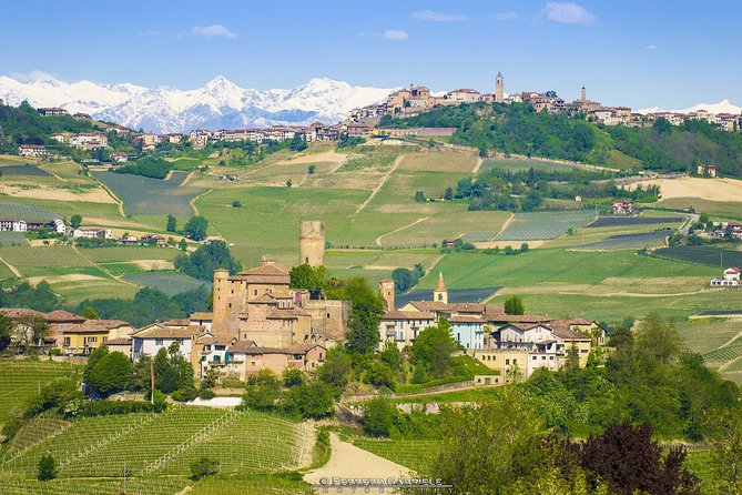 Barolo & Barbaresco Wine Tour With a Winemaker - Meet Your Winemaker Guide