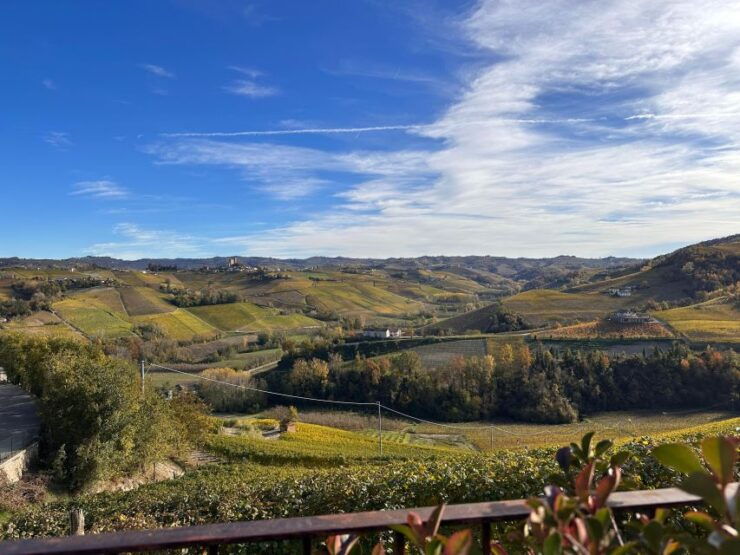 Barolo, Italy: 5 Course Paired Food and Wine Dinner - Good To Know