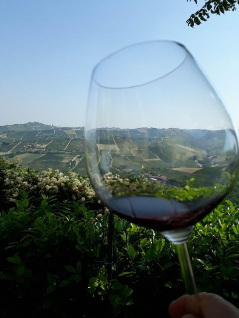 Barolo Langhe Wine Tour - Itinerary