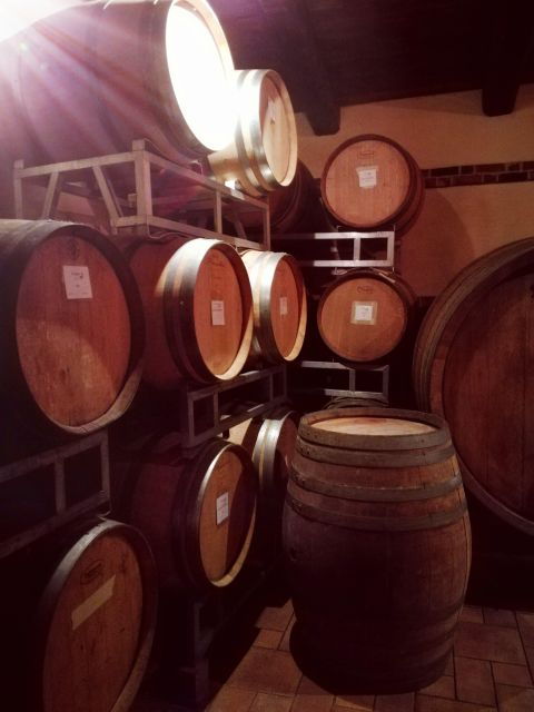 Barolo Langhe Wine Tour - Frequently Asked Questions