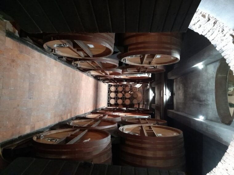 Barolo: Truffle Hunting and Wine Tasting - Final Thoughts