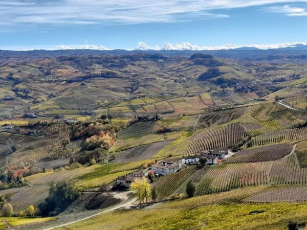 Barolo: Truffle Hunting and Wine Tasting - The Sum Up