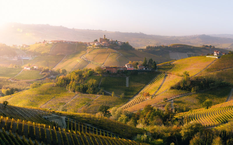 Barolo Vineyards & UNESCO Wine Cathedral Experience - Key points to know