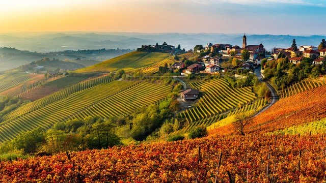 Barolo Vineyards & UNESCO Wine Cathedral Experience - Barolo wine country, with an important question mark