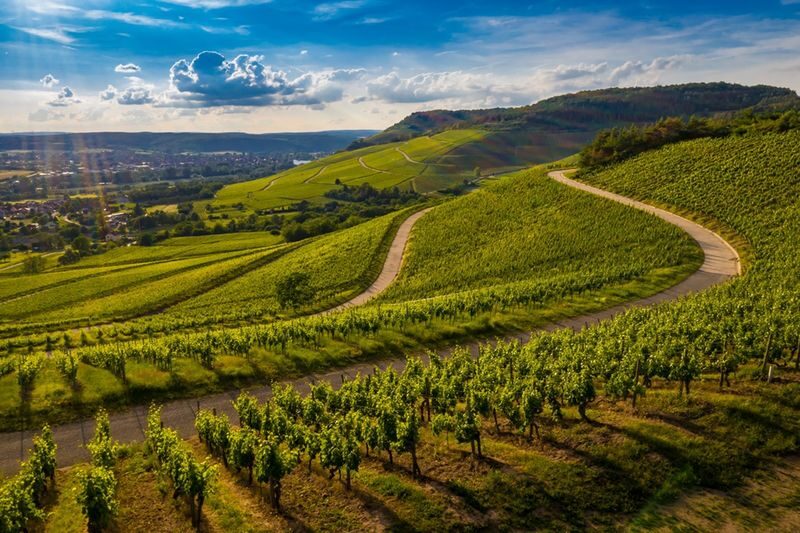 Barolo Vineyards & UNESCO Wine Cathedral Experience - The UNESCO wine cathedral