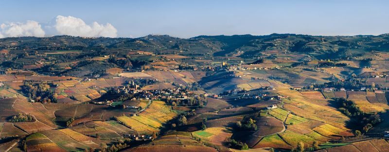 Barolo Vineyards & UNESCO Wine Cathedral Experience - The tasting, and what to confirm
