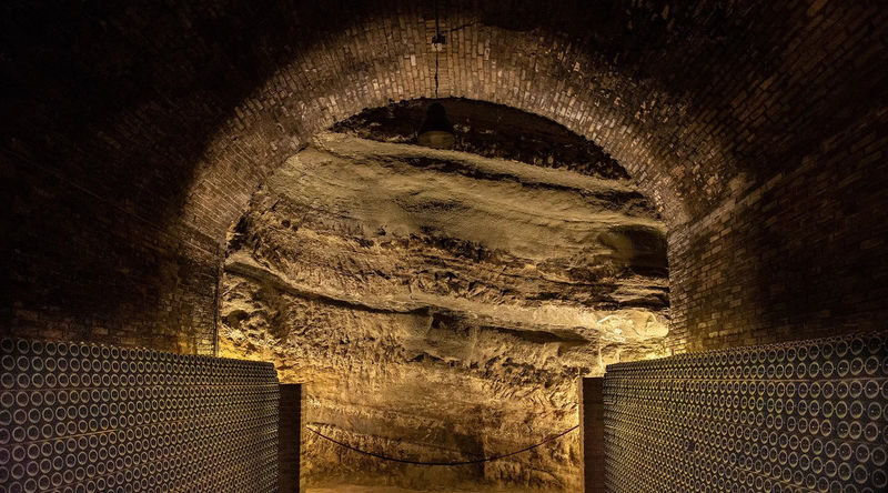 Barolo Vineyards & UNESCO Wine Cathedral Experience - Is $224.39 a fair price?