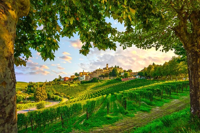 Barolo Wine Tasting, Alba, UNESCO Castle: Small Group From Milan - Tour Details