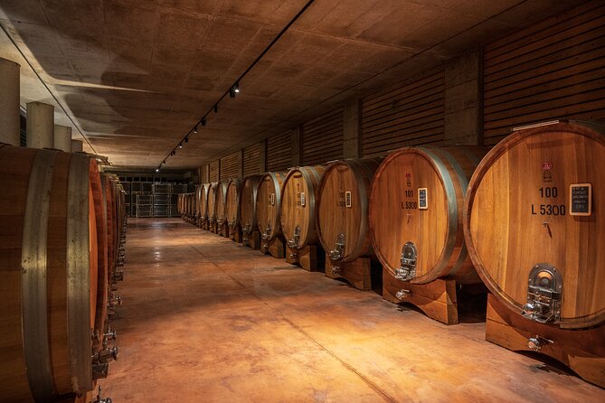 Barolo Wine Tour - Pickup and Meeting Details