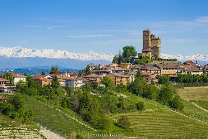 Barolo Wine Tour - What to Expect on the Tour