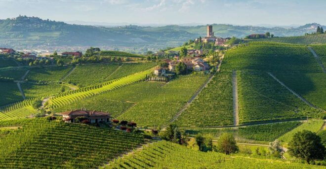 Barolo Winery Private Visit With Gourmet Lunch - Inclusions