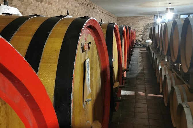 Barolo&Barbaresco Wine Tour With a Local Winemaker - Tour Experience