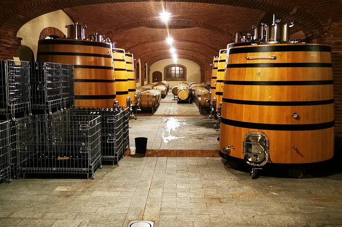 Barolo&Barbaresco Wine Tour With a Local Winemaker - Interactions With Winemakers
