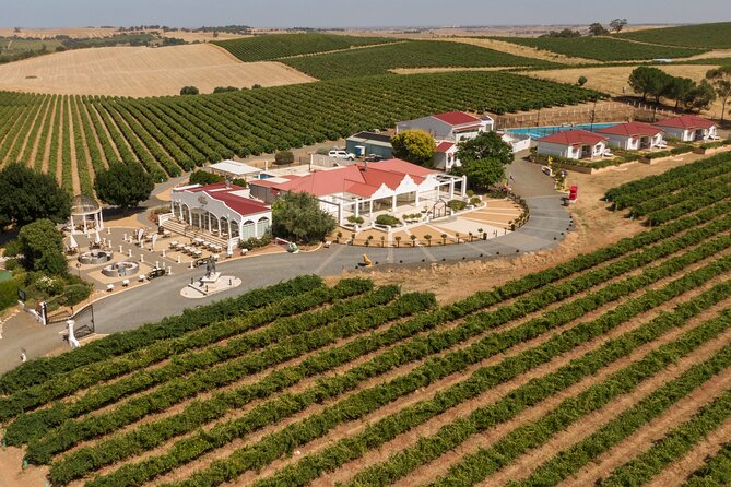 Barossa 4 Hours Wine Experience and Vineyard Walk With Lunch - What To Expect