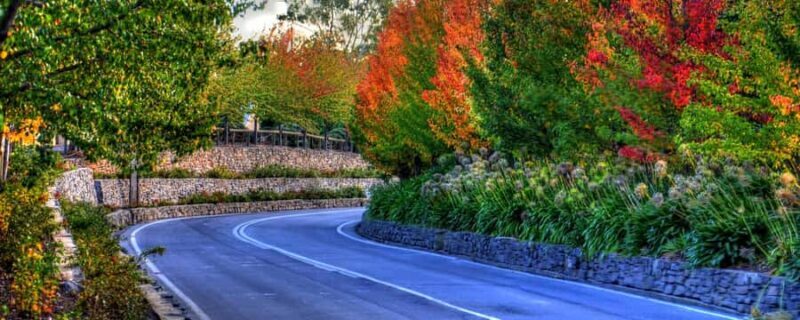 Barossa and Hahndorf Hill Tour - Introduction: A Taste of South Australia’s Best