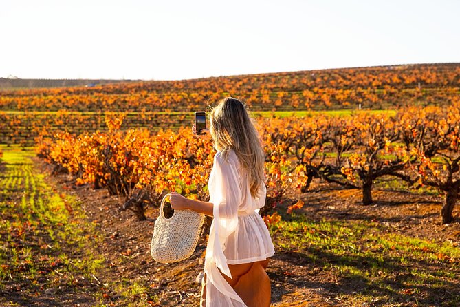 Barossa Small Group Wine Tours - Local Guide - Changes and Weather Conditions