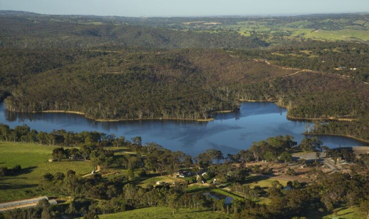 Barossa Valley: 20-Minute Scenic Helicopter Flight - Experience Highlights