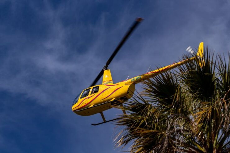 Barossa Valley: 30 Minute Scenic Helicopter Flight - Good To Know