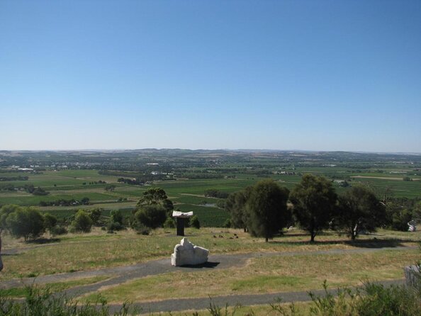 Barossa Valley Full-Day Wine Tasting Tour - Total Review Count and Overall Rating