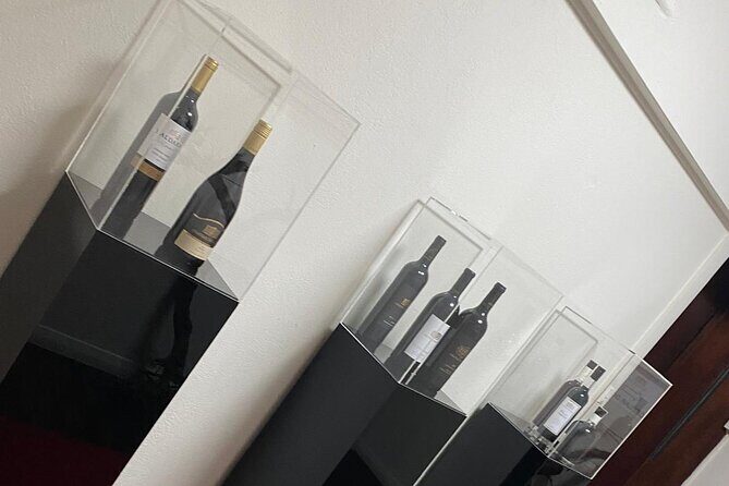 Barossa Valley Gin and Wine Tour - Who Will Enjoy This Tour?