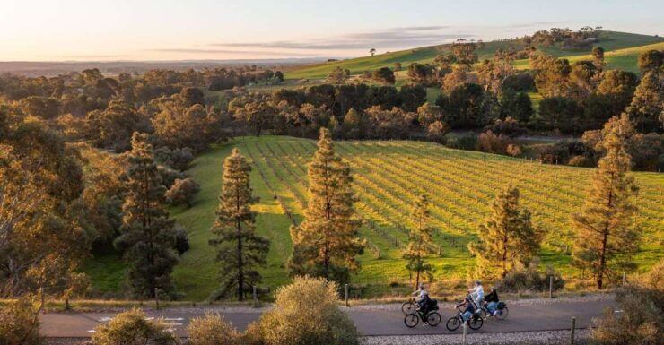 Barossa Valley: Gourmet Food and Wine E-Bike Tour - Tour Highlights