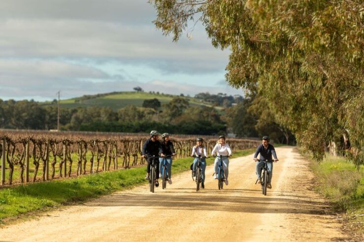 Barossa Valley: Gourmet Food and Wine E-Bike Tour - Itinerary Overview