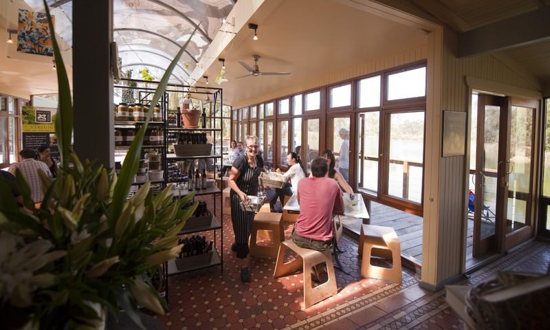 Barossa Valley Hop-On Hop-Off Wine Tour from Adelaide - A wine-country day without the designated driver