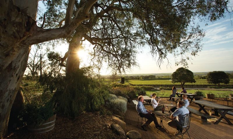 Barossa Valley Hop-On Hop-Off Wine Tour from Adelaide - Choosing wineries, not just collecting stops