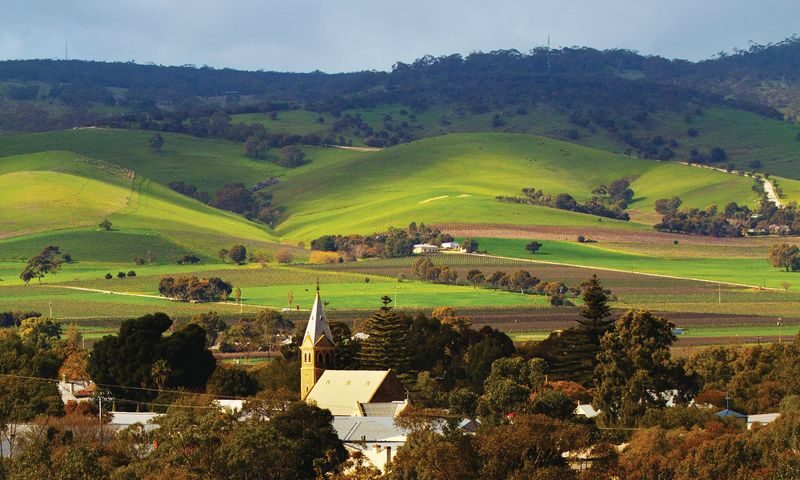 Barossa Valley Hop-On Hop-Off Wine Tour from Adelaide - The timetable is your friend, and your limit