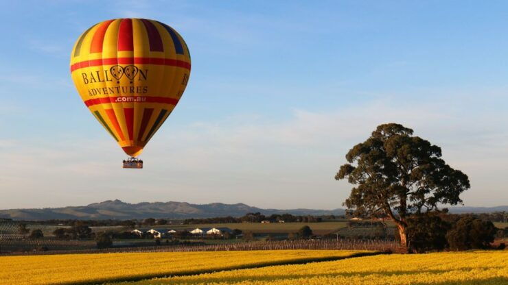 Barossa Valley: Hot Air Balloon Flight - Experience Highlights