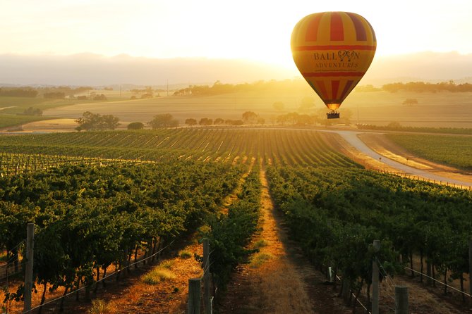 Barossa Valley Hot Air Balloon Ride With Breakfast - Activity Details