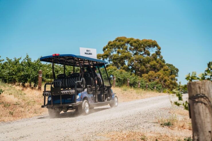 Barossa Valley: Lambert Estate Vineyard E-Cart Tour - Activity Details