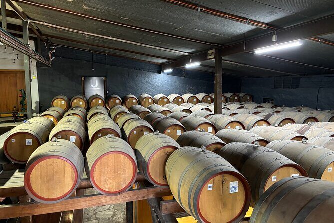 Barossa Valley Private Luxury Tour Half Day - Analyzing the Value