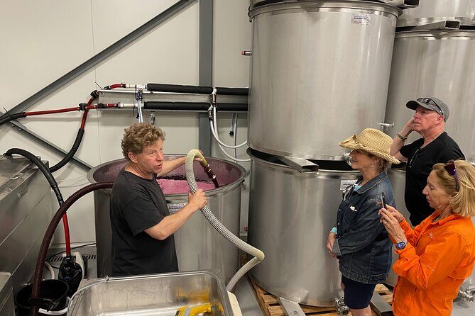 Barossa Valley Private Luxury Tour Half Day - The Sum Up