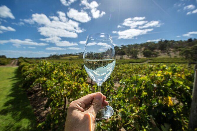 Barossa Valley Wine Tour Tastings and Lunch Included - Good To Know