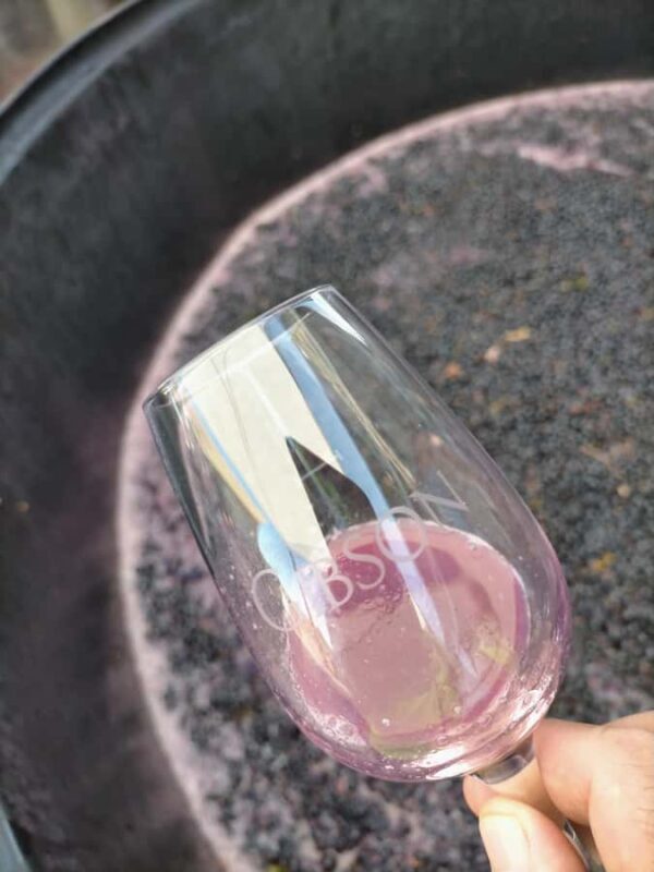 Barossa: Wine Tasting Tour including Lunch - Scenic and Cultural Highlights