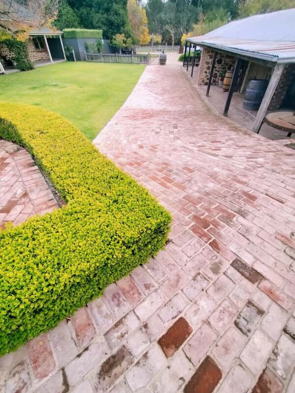 Barossa: Wine Tasting Tour including Lunch - Final Thoughts: Is This Tour for You?