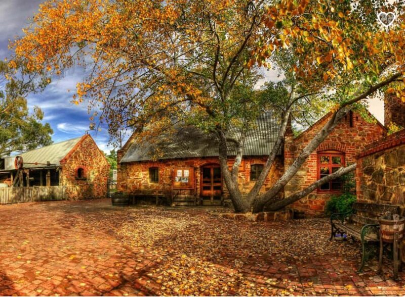 Barossa Wine Tour: Small Group 8 max, Rare, Unique, Premium - Good To Know