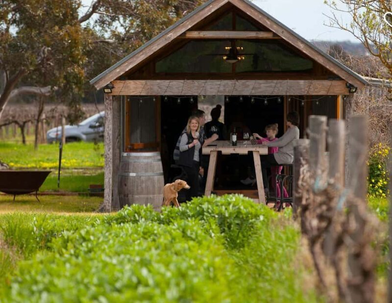 Barossa Wine Tour: Small Group 8 max, Rare, Unique, Premium - The Real Value of This Tour