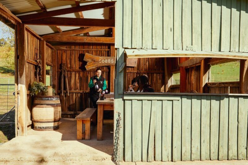 Barossa Wine Tour: Small Group 8 max, Rare, Unique, Premium - Who Would Love This Tour?