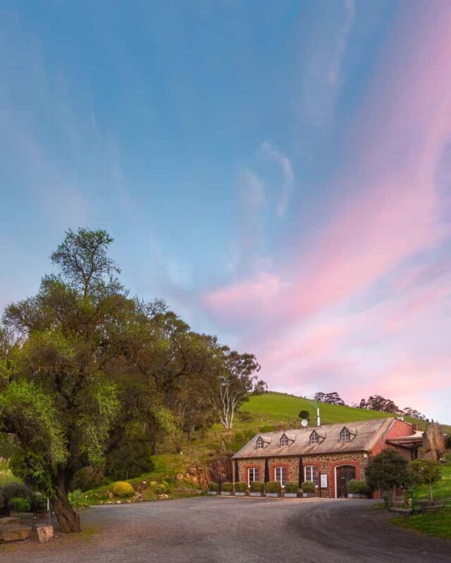 Barossa Wine Tour: Small Group 8 max, Rare, Unique, Premium - Practical Details