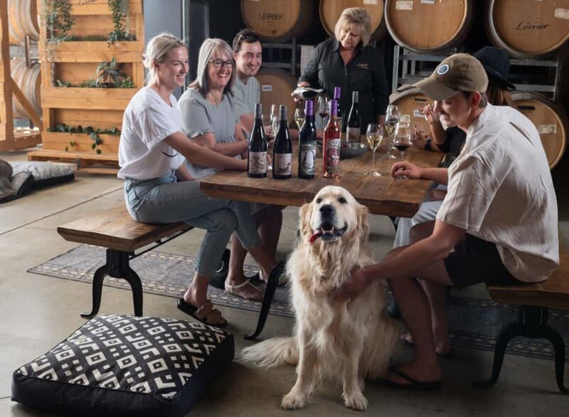 Barossa Wine Tour: Small Group 8 max, Rare, Unique, Premium - The Sum Up