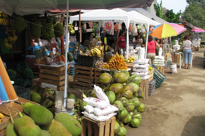Barra De Navidad and Plantations - Exploring the Plantations
