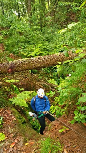 Barranquismo Anaga Tenerife - Authentic Insights from Reviews