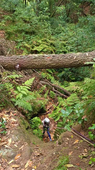 Barranquismo Anaga Tenerife - Final Thoughts: Who Should Consider This Tour?