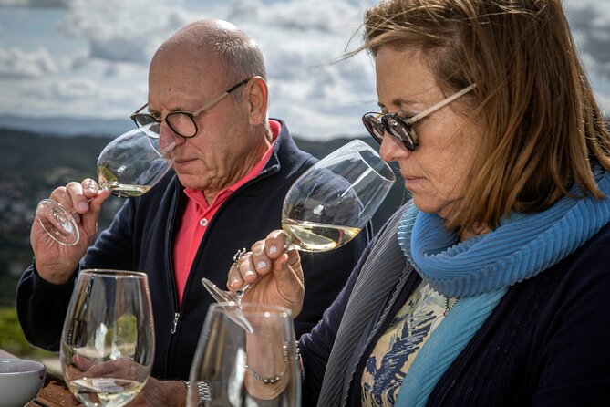 Barrel Tasting - Quinta De Santa Cristina Vinho Verde - Meeting Point and Logistics
