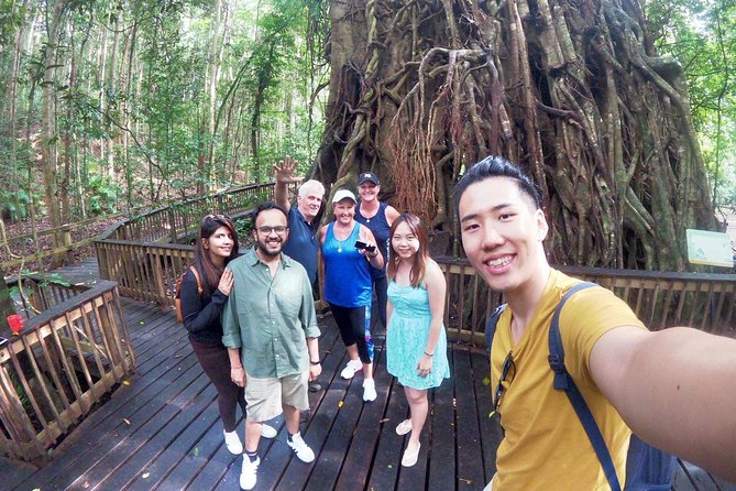 Barron Gorge and Kuranda National Park Half Day Rainforest and Waterfall 4WD Tour From Cairns - Tour Overview and Highlights