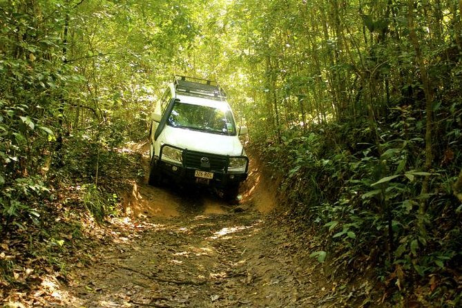 Barron Gorge and Kuranda National Park Half Day Rainforest and Waterfall 4WD Tour From Cairns - Positive Feedback and Recommendations From Previous Visitors