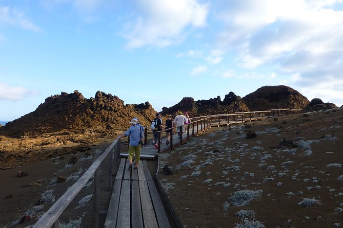 Bartolome Island Full Day Tour - Inclusions and Services